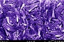 Helicobacter  Pylori - the bacteria swallowed by Morris
