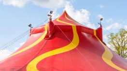 The Little Big Top The Little Big Top