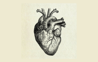 The Heart: Inside and Out The Heart: Inside and Out