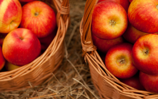 The Science Of Cider The Science Of Cider
