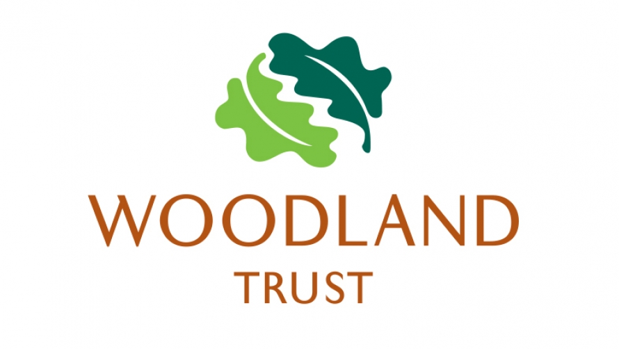 Image result for woodland trust