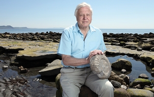 David Attenborough David Attenborough