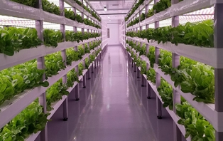 Meals Of Tomorrow: Our Future Food Meals Of Tomorrow: Our Future Food