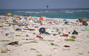 Mark Miodownik: The Plastic Waste Solution Mark Miodownik: The Plastic Waste Solution