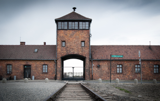 Holocaust Survivors Holocaust Survivors