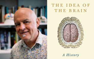 The Idea Of the Brain.png The Idea Of the Brain.png
