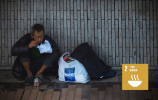 Zero Hunger.png Zero Hunger.png