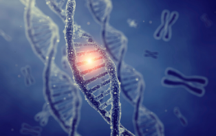 DNA testing.png DNA testing.png