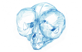 Sketching Skulls.png Sketching Skulls.png