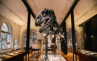 Fantastic Fossils (Credit_ Greg Milner) (2).jpg Fantastic Fossils (Credit_ Greg Milner) (2).jpg