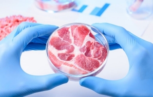 The Future of Food .jpg The Future of Food .jpg