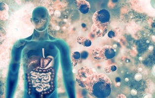 The Chemistry of Cancer.jpg The Chemistry of Cancer.jpg