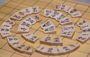 Shogi For Beginners.jpg Shogi For Beginners.jpg