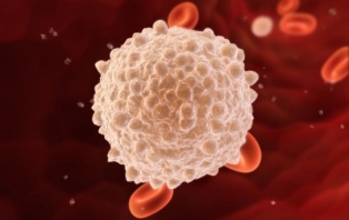 VSI_ Immune System.jpg VSI_ Immune System.jpg