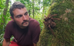 My Life In The Wild My Life In The Wild