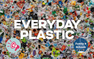 Everyday Plastic_ An Introduction.png Everyday Plastic_ An Introduction.png